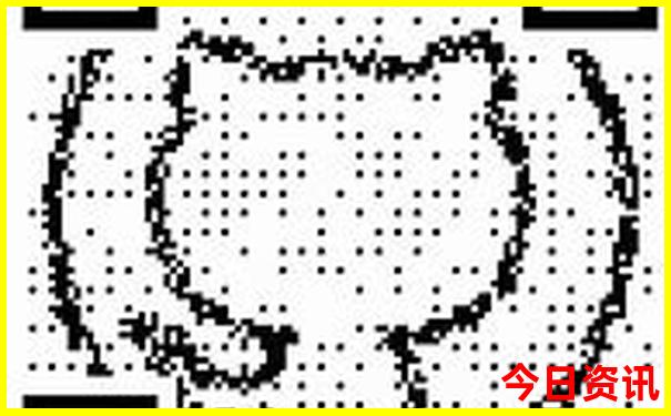 婆家一码一肖100